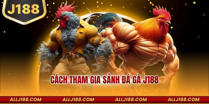 Cách Tham Gia Sảnh Đá Gà J188 Chi Tiết Cho Người Mới Bắt Đầu 4 Cách tham gia sảnh đá gà J188