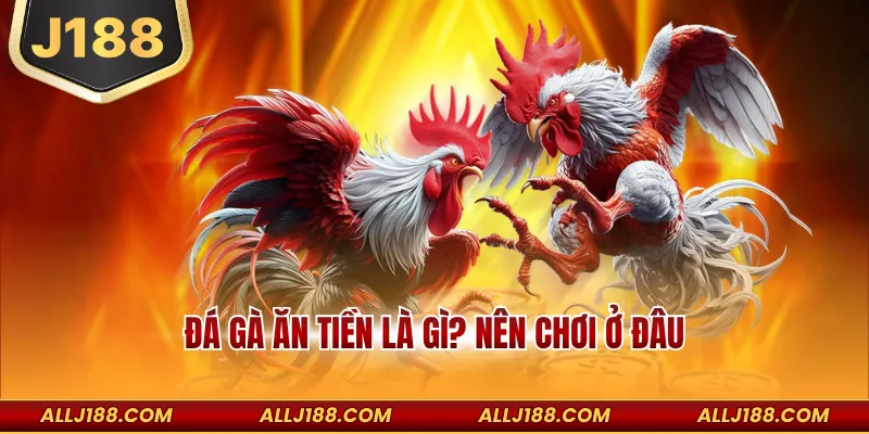 Đá Gà Ăn Tiền Là Gì? Nên Chơi Ở Đâu Đảm Bảo An Toàn 5 Đá gà ăn tiền là gì? nên chơi ở đâu